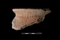 藏品(陶罐)的圖片